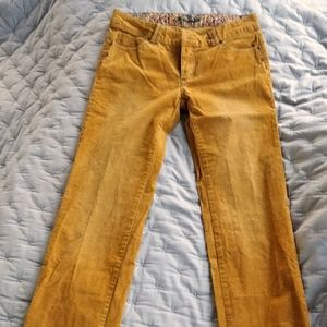Prana mustard cords pants